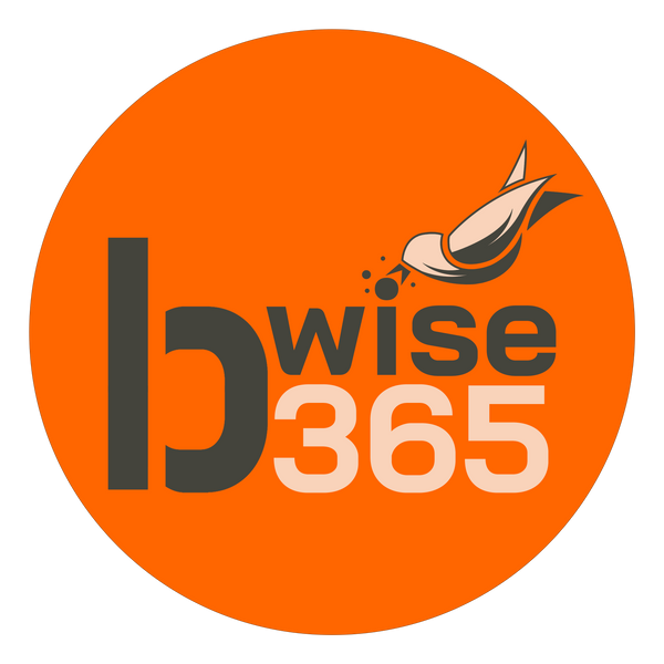 bWise365